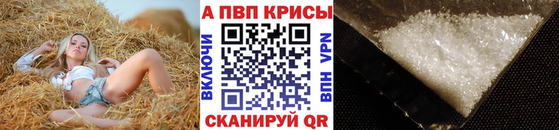 Как найти наркотики Моршанск Галлюциногенные грибы МДМА ГАШ КОКАИН Марихуана Амфетамин
