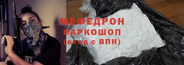 гашик Богданович