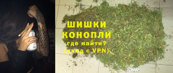таблы Бородино